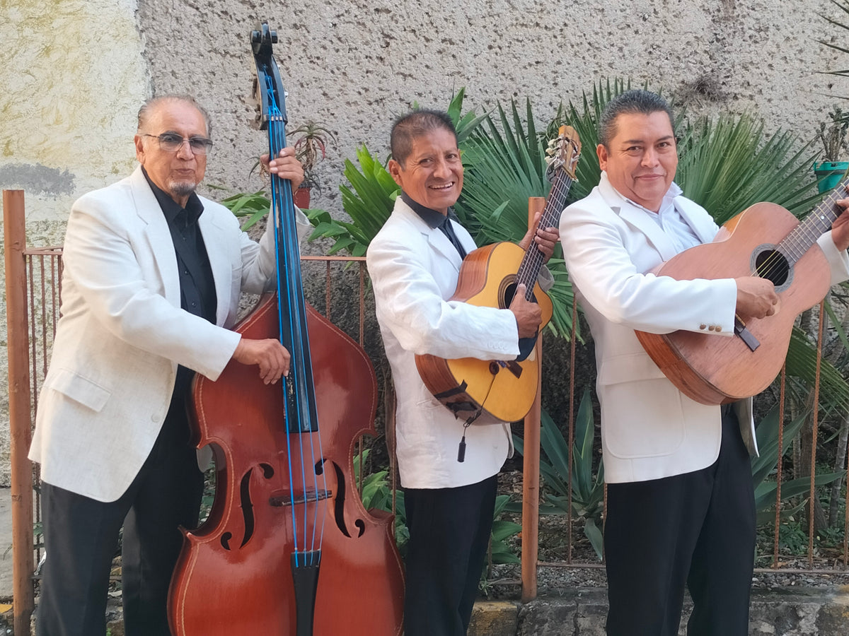 Mañanitas a Domicilio – Trío Cuernavaca